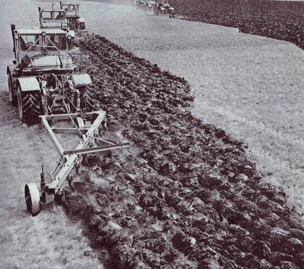 1954 освоение целины. 1954 освоение целины. Освоение целинных земель. Целина. 1954 1955 жылдары дәнді дақылдар.