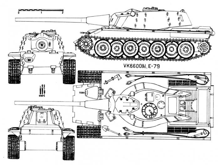 E-79 Schwarzwolf VK 66.01 (H)