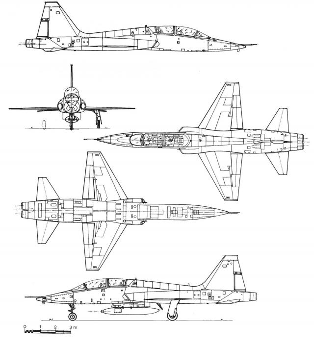 Royal Georgian Air Force - Королевские Военно-Воздушные силы Грузии МГК (после Второй Мировой) 2.0