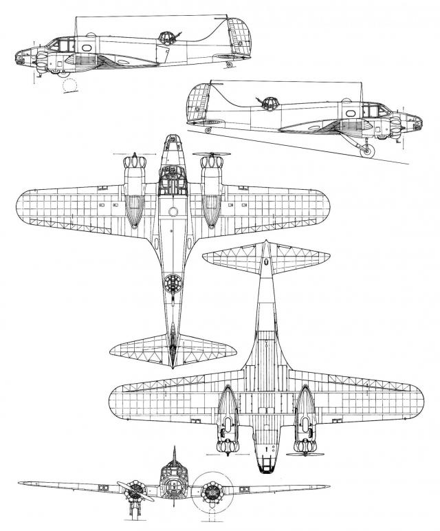 Royal Georgian Air Force - Королевские Военно-Воздушные силы Грузии МГК (до 1945) версия 2.0