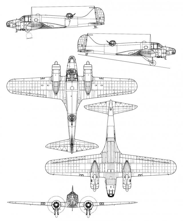 Royal Georgian Air Force - Королевские Военно-Воздушные силы Грузии МГК (до 1945) версия 2.0