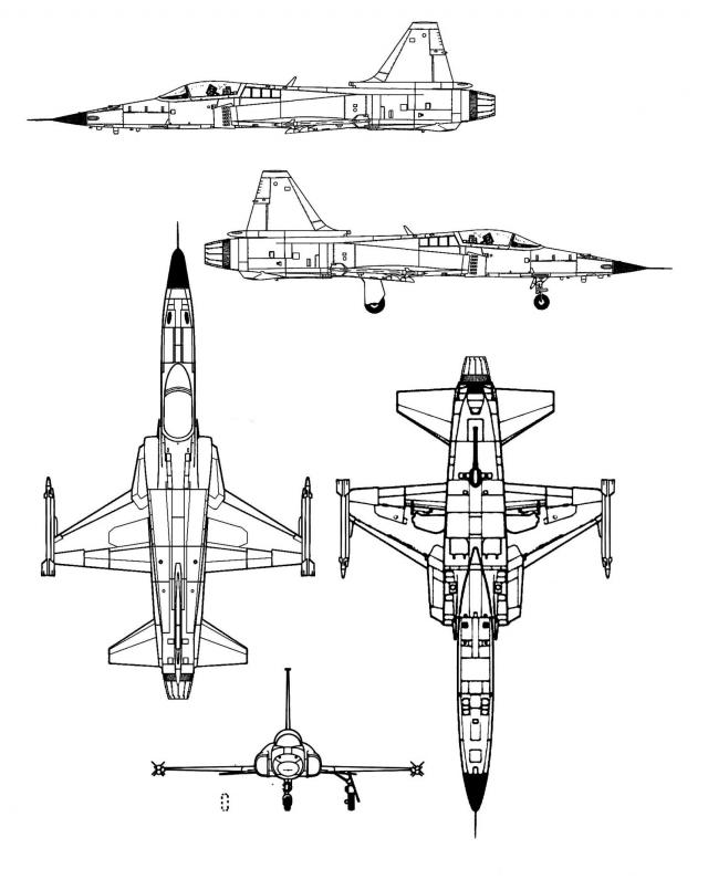 Royal Georgian Air Force - Королевские Военно-Воздушные силы Грузии МГК (после Второй Мировой) 2.0