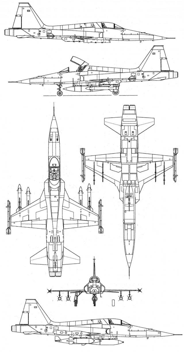 Royal Georgian Air Force - Королевские Военно-Воздушные силы Грузии МГК (после Второй Мировой) 2.0