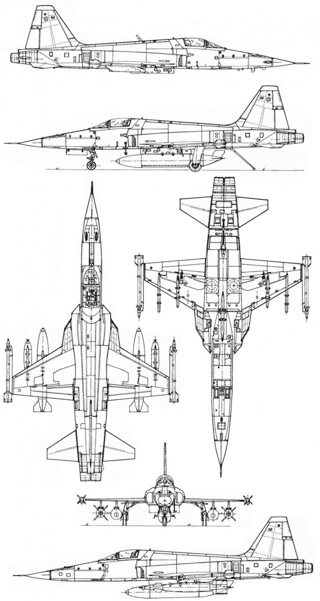 Royal Georgian Air Force - Королевские Военно-Воздушные силы Грузии МГК (после Второй Мировой) 2.0