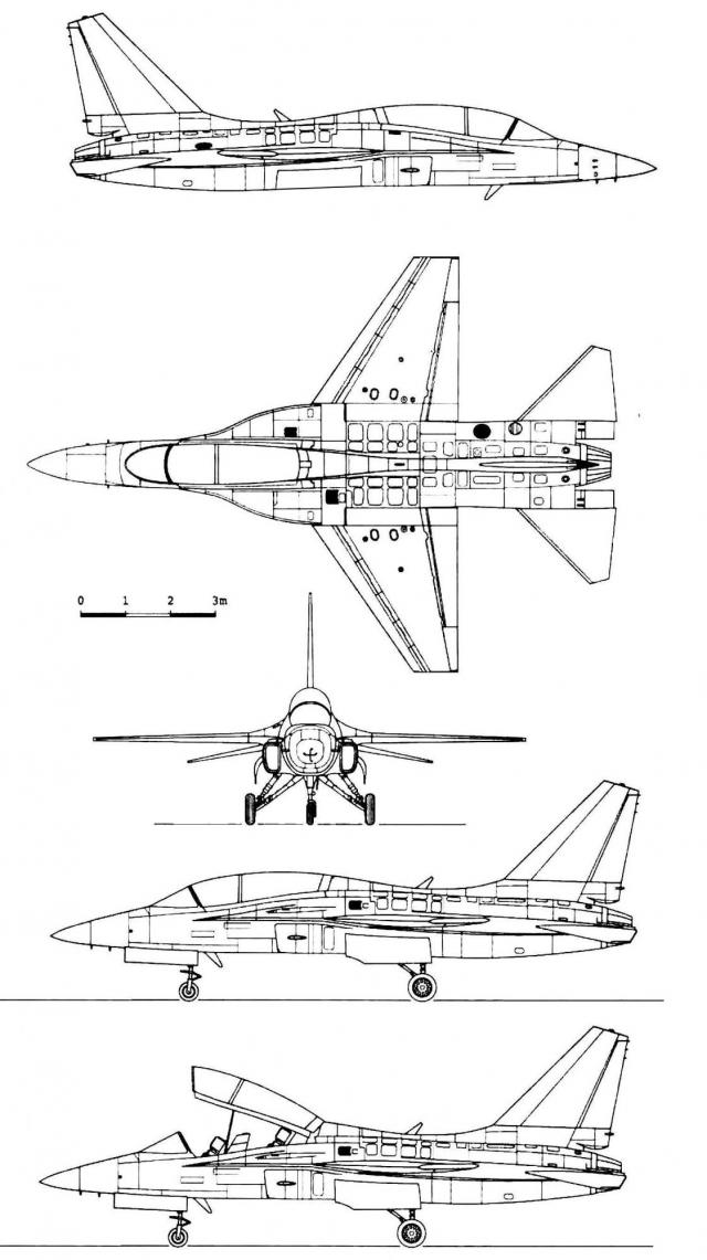 Royal Georgian Air Force - Королевские Военно-Воздушные силы Грузии МГК (после Второй Мировой) 2.0