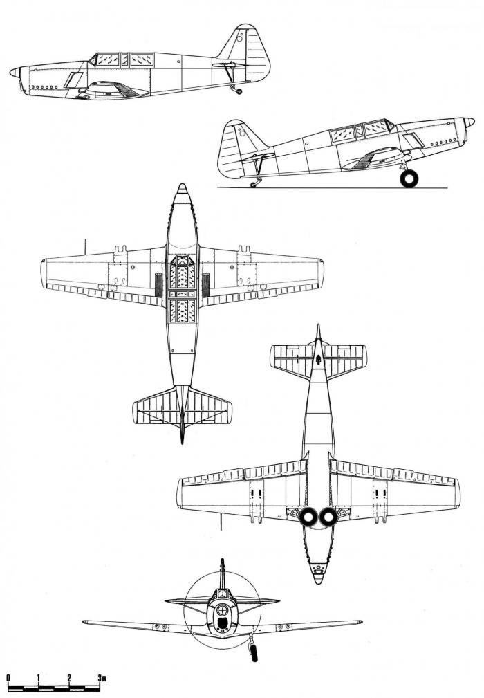 Royal Georgian Air Force - Королевские Военно-Воздушные силы Грузии МГК (после Второй Мировой) 2.0