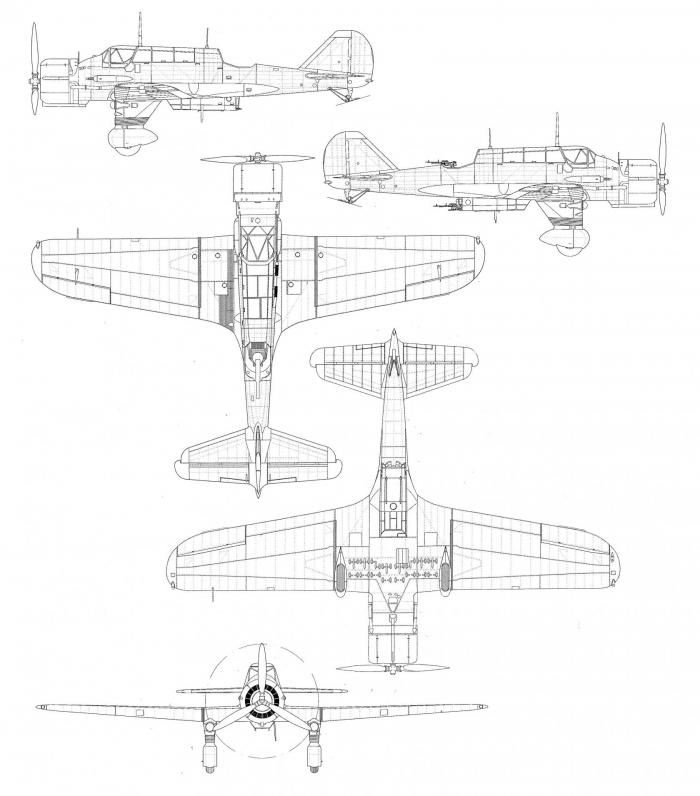 Royal Georgian Air Force - Королевские Военно-Воздушные силы Грузии МГК (до 1945) версия 2.0