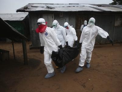 Что будет, когда вирус «эбола» дойдет до Москвы?