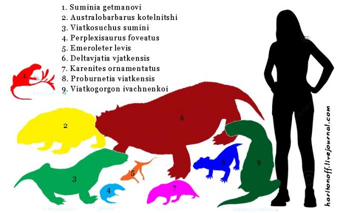 Котельничская фауна пермского периода