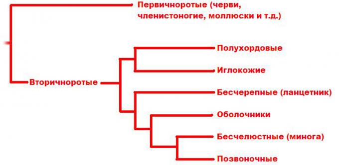 К вопросу о древнейших предках. Часть 2