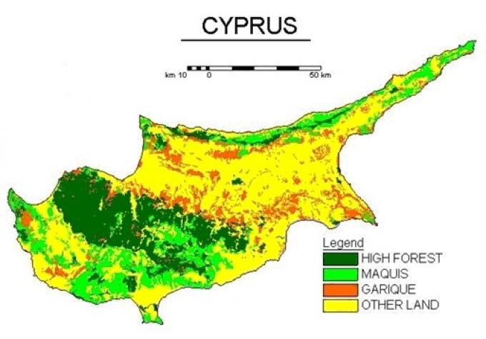 Сегодня леса на Кипре сохранились лишь в горах. В век бронзы Кипр был полностью покрыт лесом
