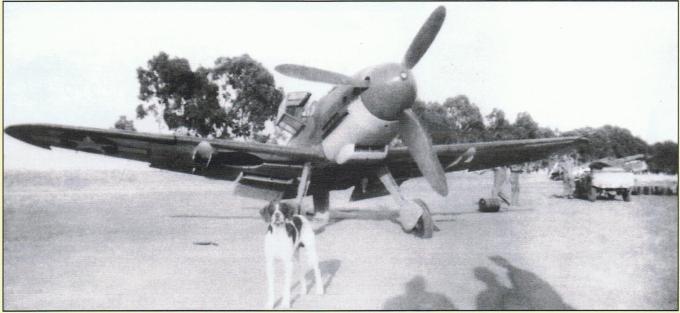 Трофейные истребители Messerschmitt Me 109. Часть 22