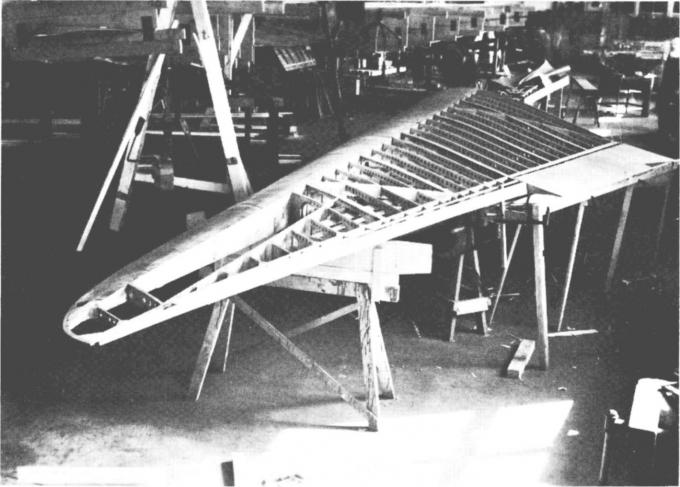 Учебные самолёты Horten Ho VII. Германия