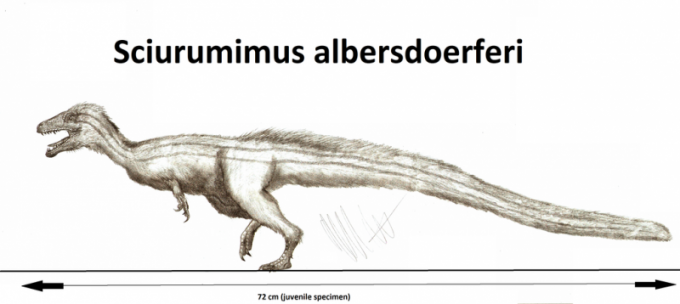 Дождь или Sciurumimus albersdoerferi