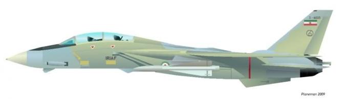 Истребитель-перехватчик F-14A Tomcat, оснащенный зенитной ракетой MIM-23 Hawk