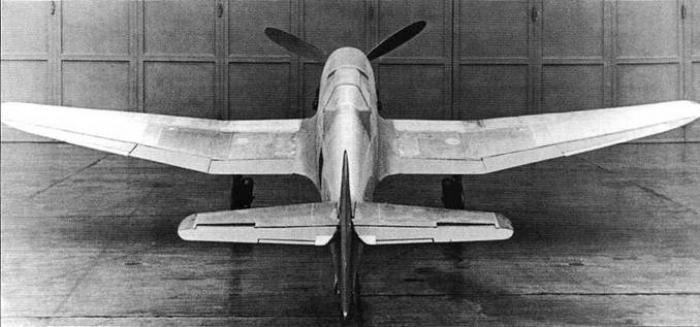 Фотография первого прототипа Не-100VI, сделанная на аэродроме Росток-Мариенех, в 1938 году.