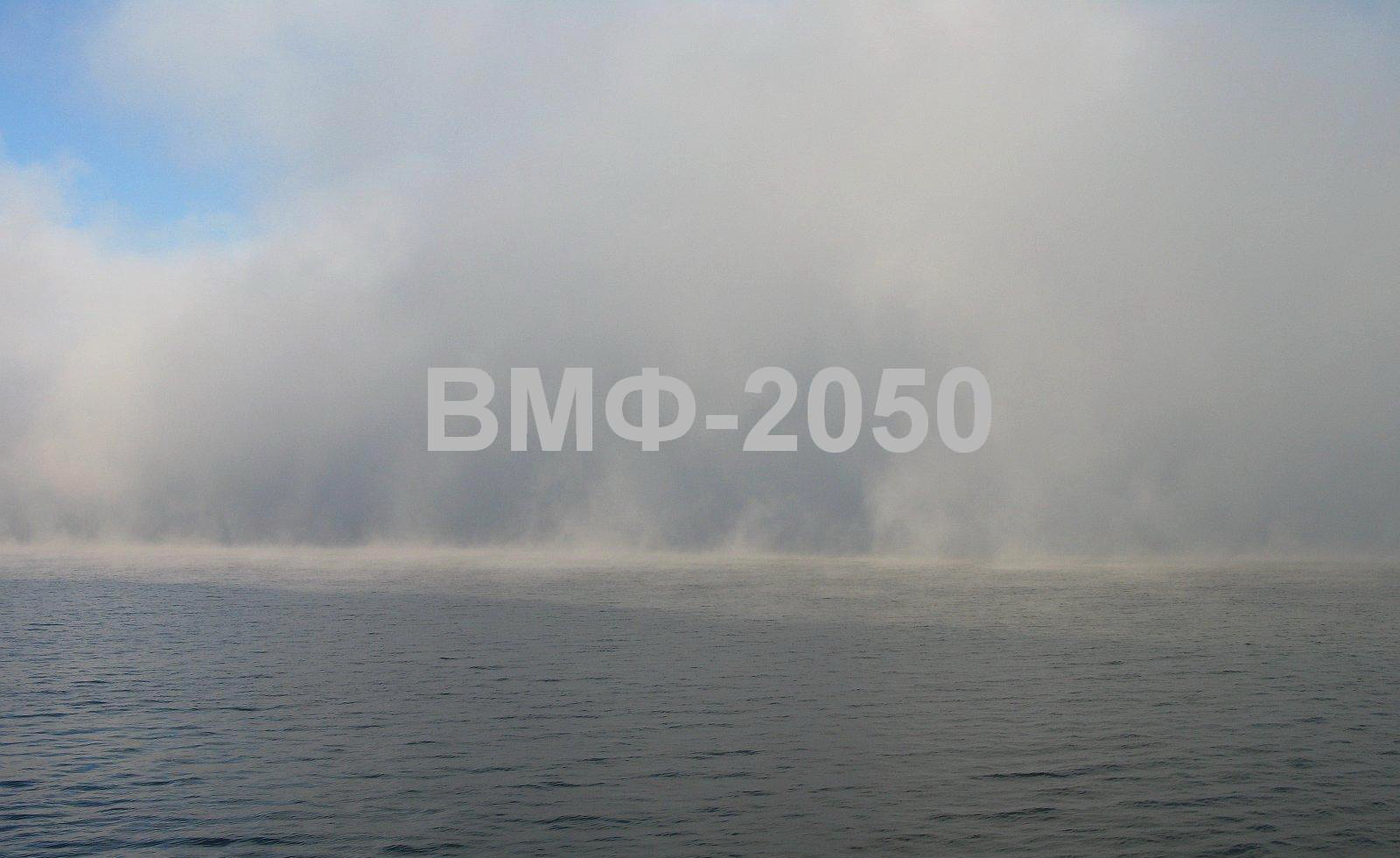 Корабельный состав ВМФ РФ к 2050 г. Попытка прогноза
