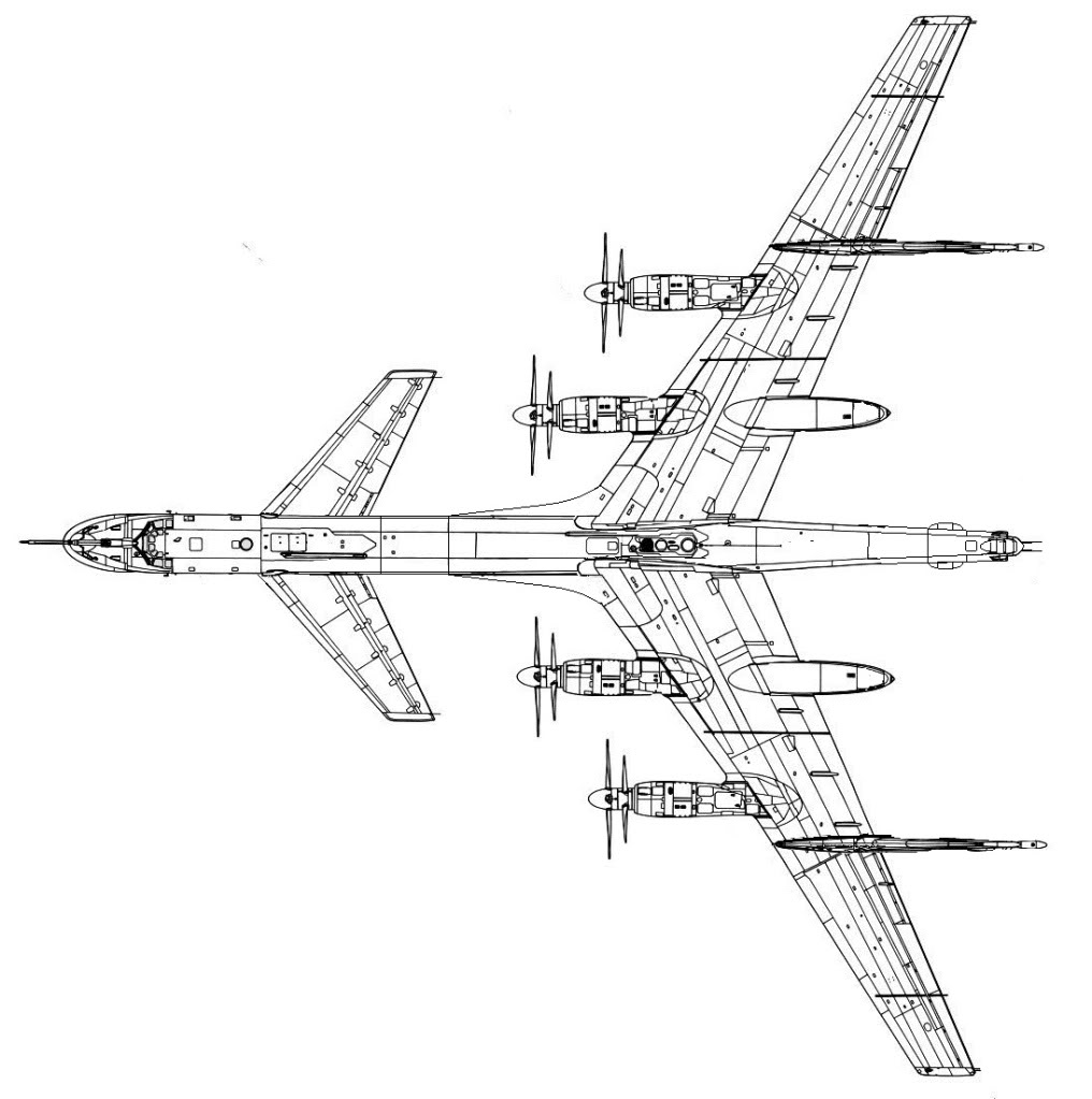 Альтернативный Ту-95 “Утка”.