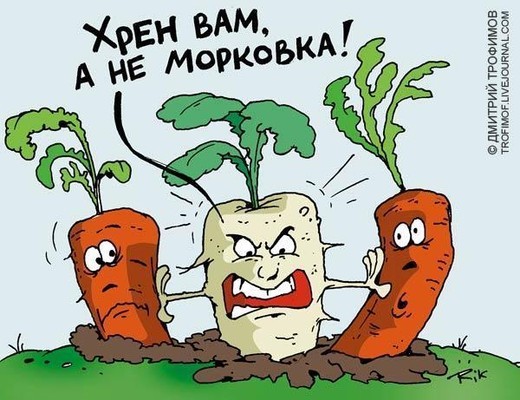 До морковкиного заговения.