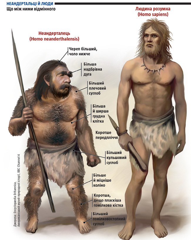 Неандертальцы: история несостоявшегося человечества