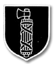 Дивизии СС.Waffen-Division SS. Часть вторая
