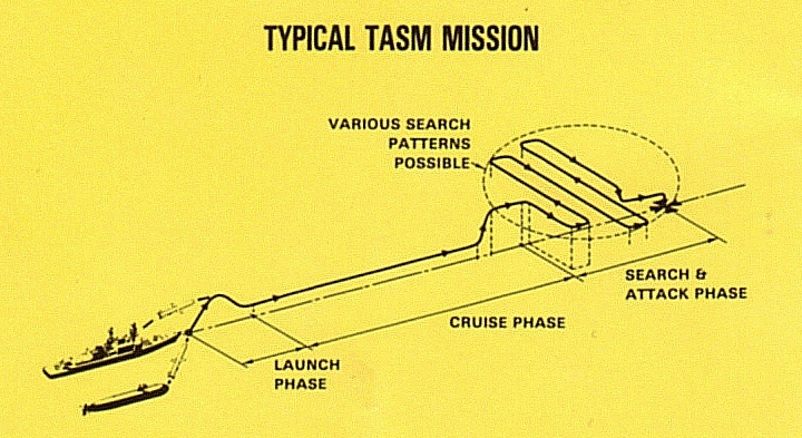 TASM - Tomahawk Anti-Ship Missile, или  "Гранит" по-американски