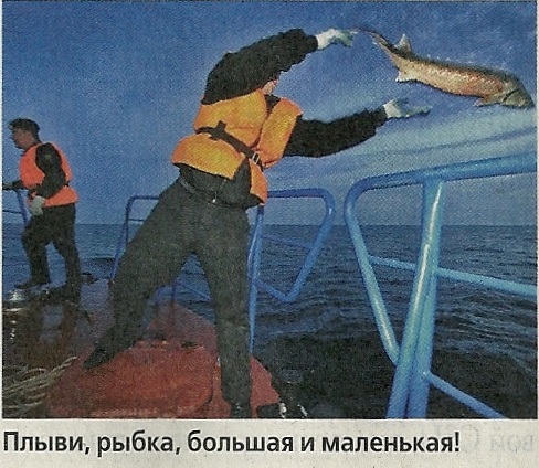 Мораторий для жизни. Надолго ли в Каспийском море запретят лов осетров?