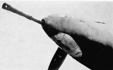 Тяжелый истребитель-штурмовик Kawasaki Ki-102 "Randy"