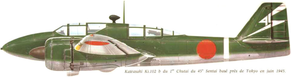 Тяжелый истребитель-штурмовик Kawasaki Ki-102 "Randy"