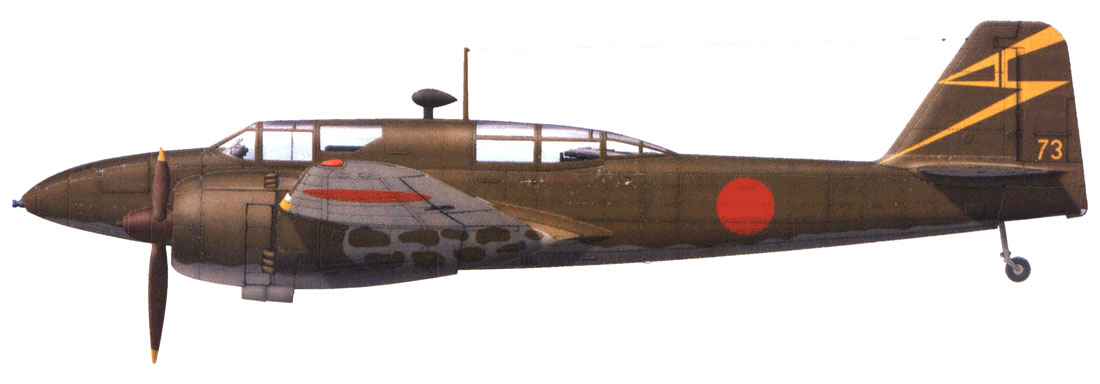 Тяжелый истребитель-штурмовик Kawasaki Ki-102 "Randy"