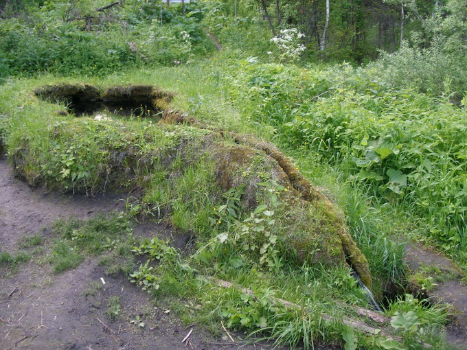 Таловские Чаши - 1