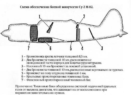 Кировская Весна. Проект Иванов