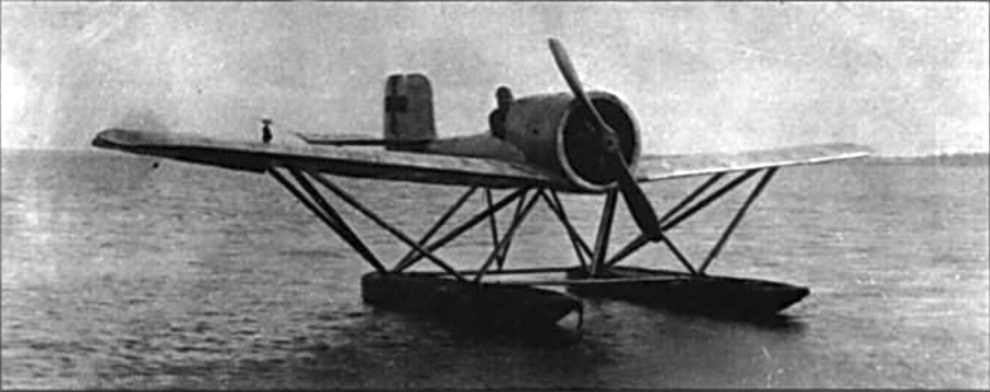 Первенец подводной авиации. LFG (Roland) V.19 Putbus