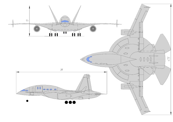 Проект самолета Мухамедова. Многофункциональная универсальная платформа Часть 1
