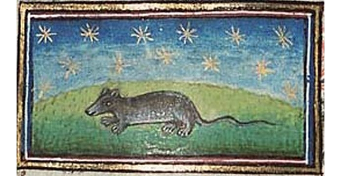 Бестиарии: средневековые заблуждения о животных