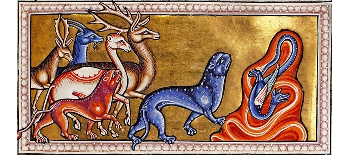 Бестиарии: средневековые заблуждения о животных