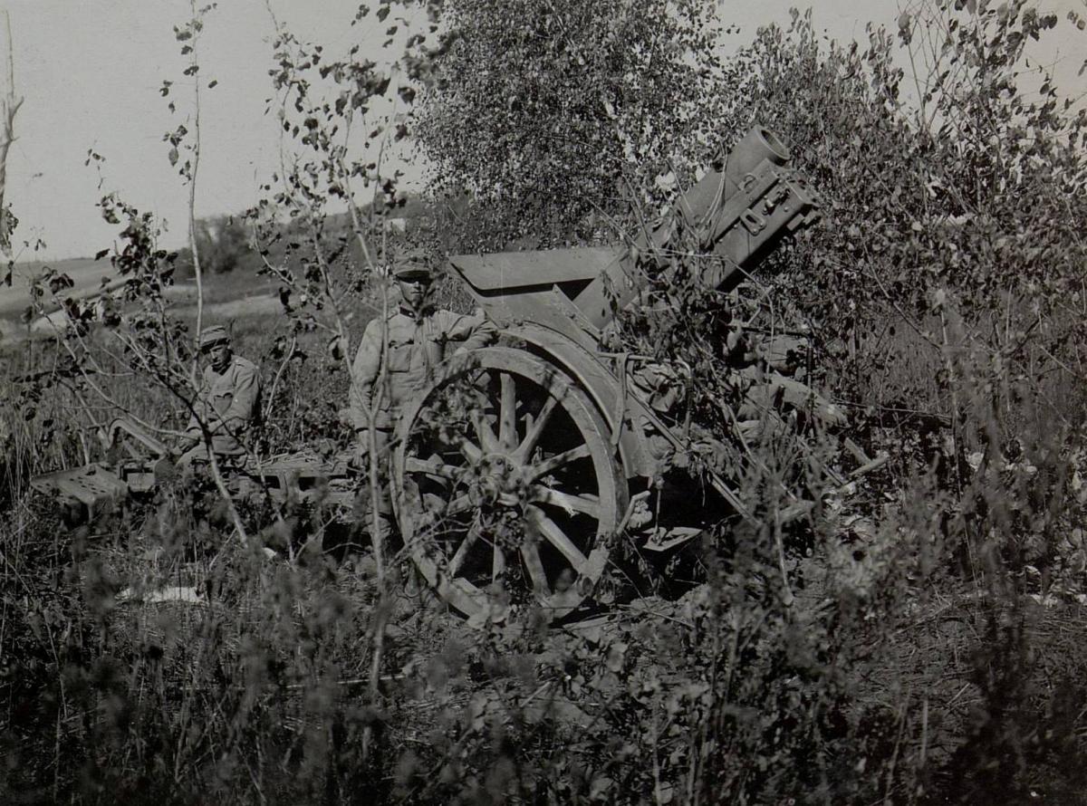 «Хорошо замаскировались!» Гаубица М 14 на позиции у Загоже, 1916 год