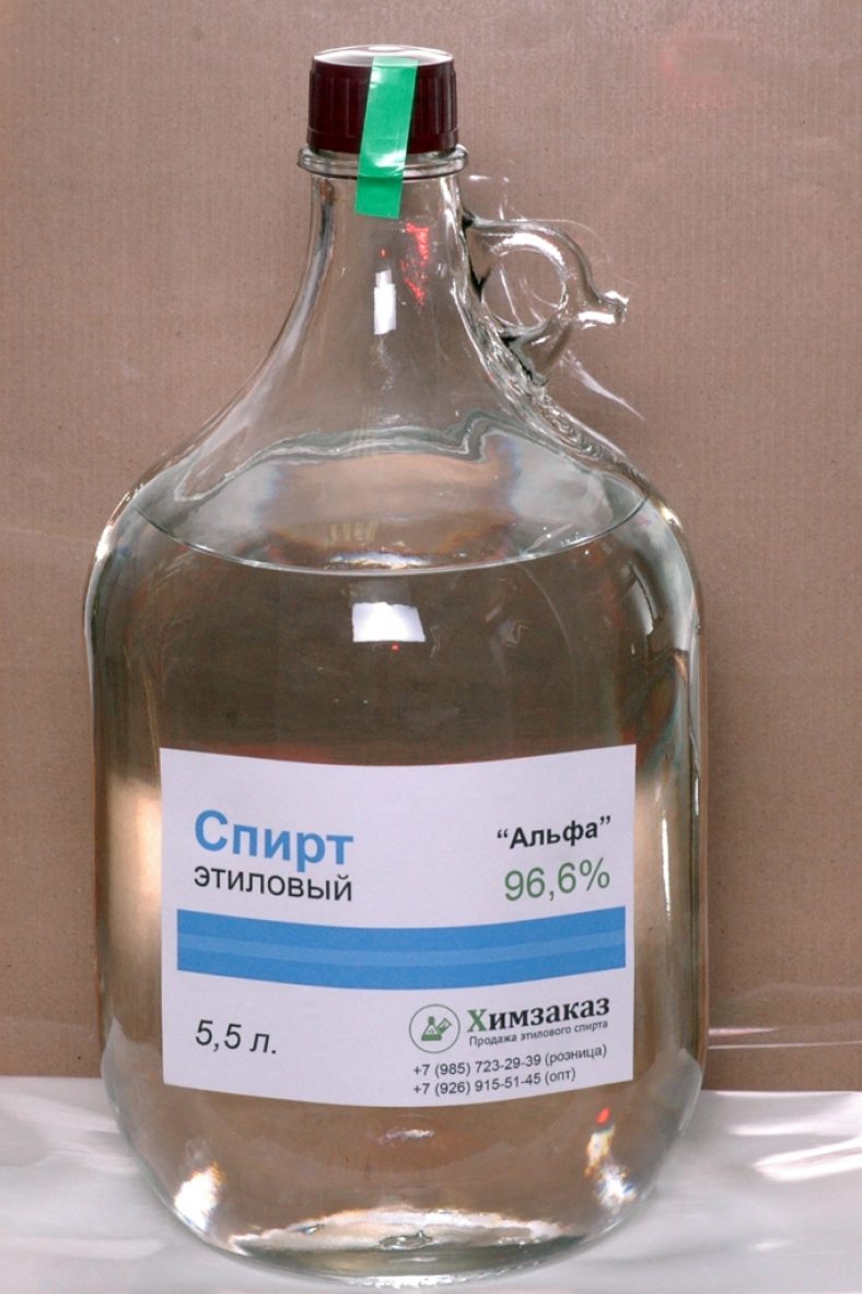 spirit00.jpg