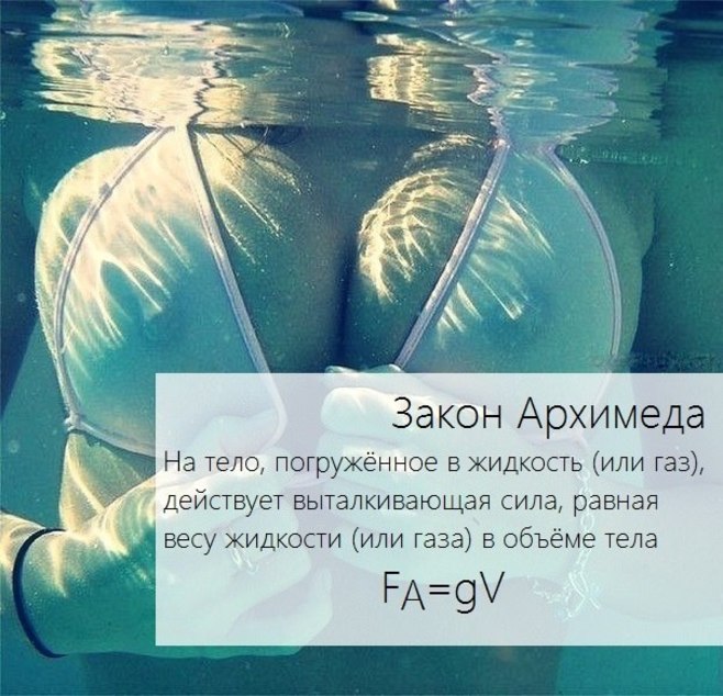 11069242.jpg