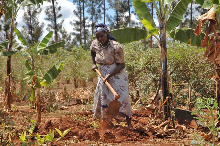 Типичная обработка земли в Африке