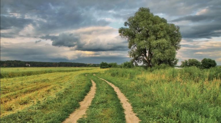 Природа Средней полосы: такой ее могли увидеть славянские колонисты VII-VIII вв. Фото с сайта Яндекс картинки