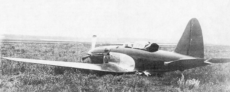 Су-1 и Су-3. Первые опытные истребители ОКБ Сухого