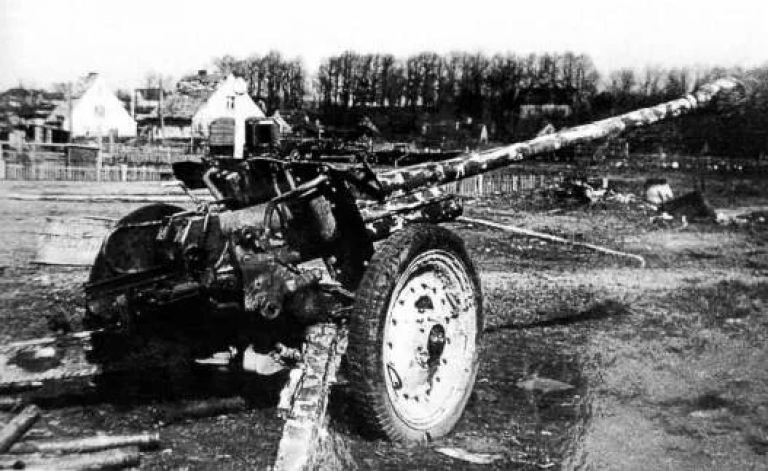 "Гадюка". Как списанная со счетов русская пушка в начале войны стала лучшим противотанковым орудием Вермахта
