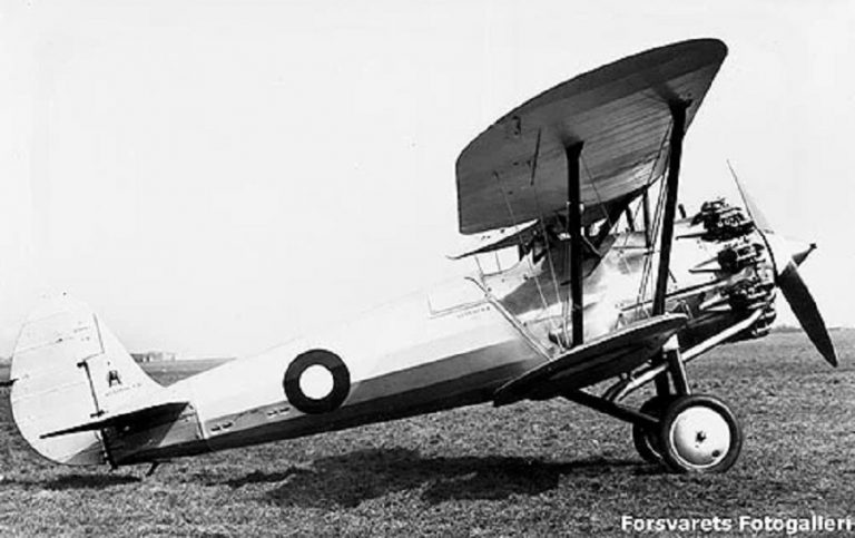 Истребители Bristol Bulldog Mk. IIA были куплены в Великобритании в 1931 году в количестве четырёх самолётов. К 1940 году машины безнадежно устарели и выработали ресурс. К моменту немецкого вторжения все «Бульдоги» были разоружены и использовались как учебные.