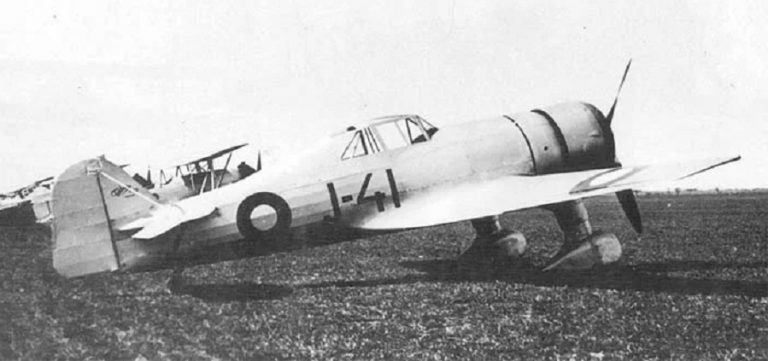 Истребители Fokker D-XXI производились по голландской лицензии в Дании, два первых самолёта были куплены в Нидерландах. Всего в 1940 году их было 12, но они только начали осваиваться пилотами.
