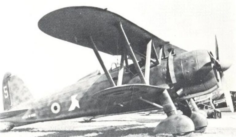 Бельгийские истребители Fiat CR.42