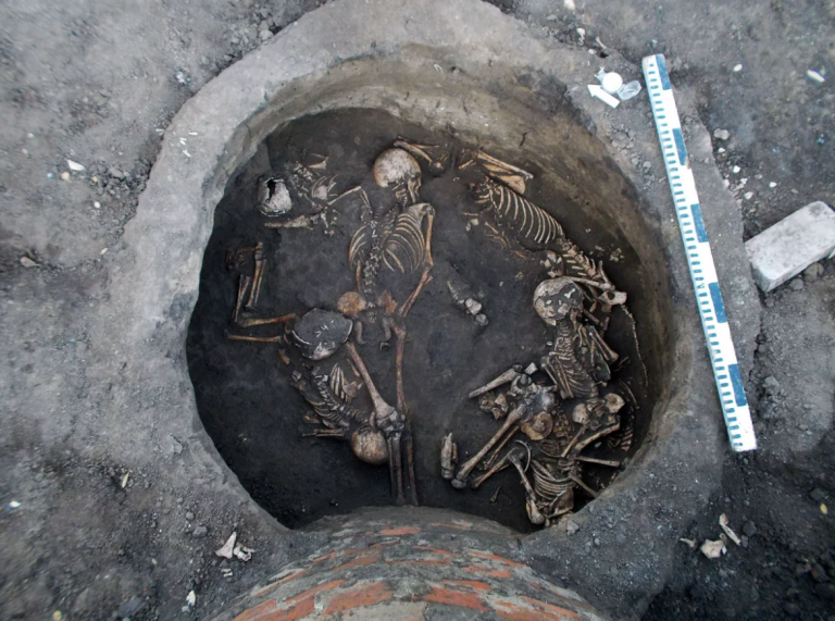  Один из раскопов (фото Отдел археологии Азовского музея-заповедника).