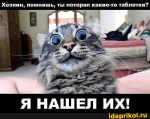 4СЕЖ.jpg