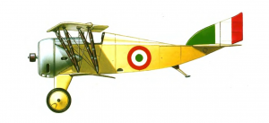 Француз на итальянской службе. Истребители и учебные самолеты Nieuport-Macchi M.14. Италия