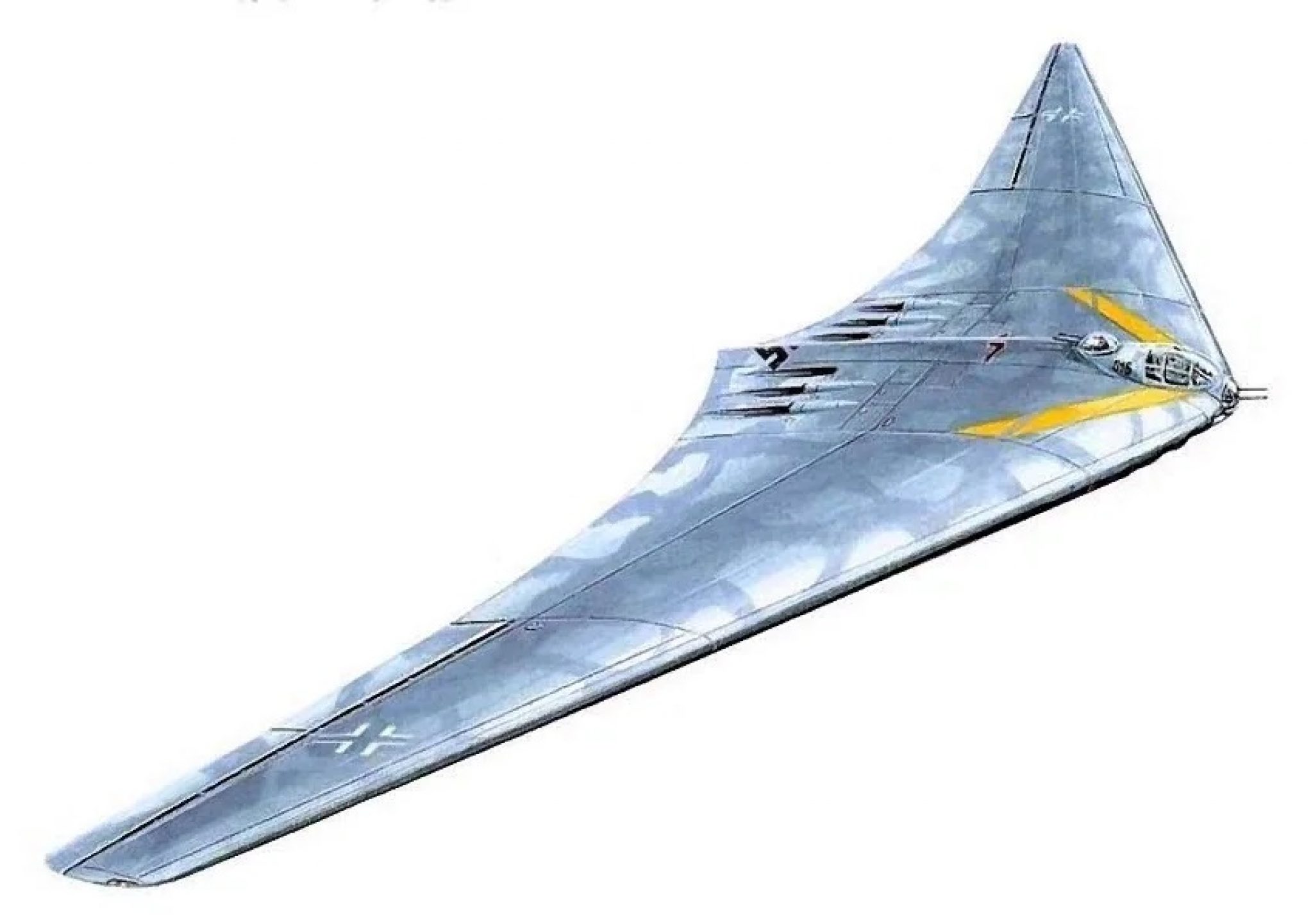 Автор летающего крыла. Horten ho-229a. Хортен Хо-XVIII. Летающее крыло Horten ho. Хортен XVIIIB.